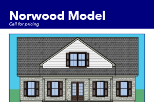 Norwood Model